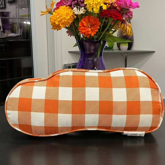 PRICE DROP - NWT FALL HARVEST DECORATIVE PILLOW - Picture 8 of 14